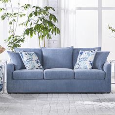 a blue couch sitting in front of a window next to a potted plant on top of a table