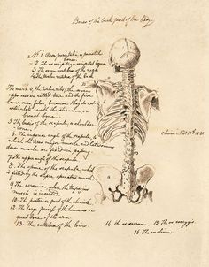 an old handwritten letter with a skeleton on it's back and writing underneath