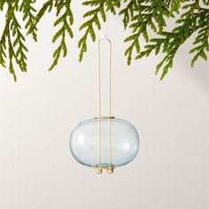 a glass ornament hanging from a tree branch