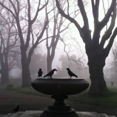 two birds sitting on top of a bird bath in the middle of a tree filled park