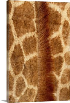 a giraffe's fur is shown in this image