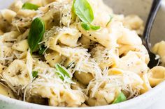 a white bowl filled with pasta covered in cheese and basil garnished with parmesan