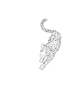 a black and white drawing of a cheetah