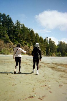 two people are flying a kite on the beach by some water and trees in the background