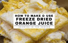 how to make and use freeze dried orange juice in the garden - growing in the garden