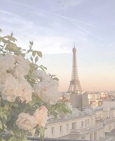 the eiffel tower is in the distance with white flowers on it's balcony