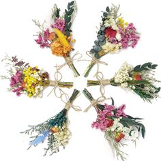 six different flowers arranged in a circle on a white background with string wrapped around them