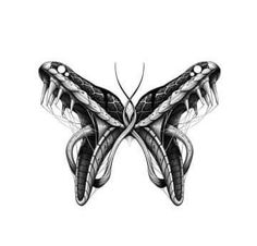 a black and white drawing of a butterfly with wings spread out, on a white background