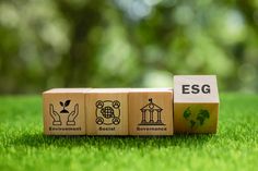 three wooden blocks with different symbols on them sitting in the grass next to each other