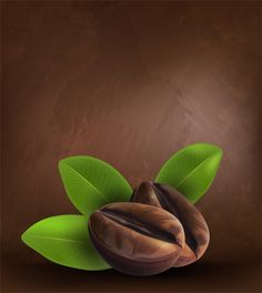 two nuts with green leaves on a brown background