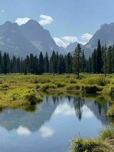 there is a small lake in the middle of some grass with mountains in the background