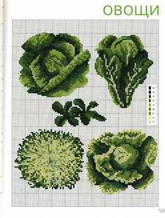 the cross stitch pattern shows different types of lettuce, including cabbage and broccoli