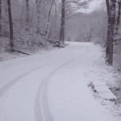 a snow covered road in the woods with trees on both sides and a live leak sign above it