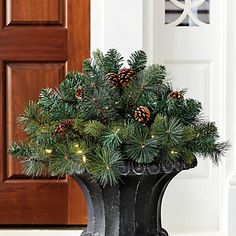 a potted plant with pine cones and lights on the ground in front of a door