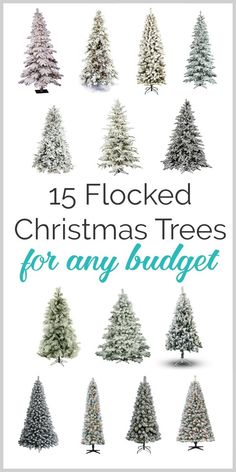 a bunch of christmas trees with the title 15 flocked christmas trees for any budget