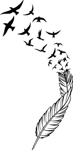 a black and white drawing of a feather with birds flying around it