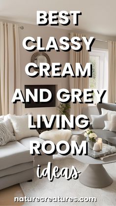 the best classy cream and grey living room ideas