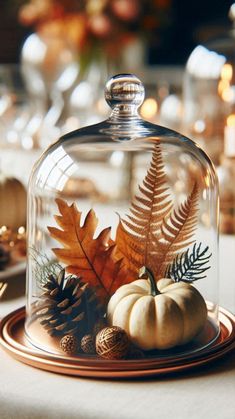 a glass clochel with leaves and acorns under it on a table