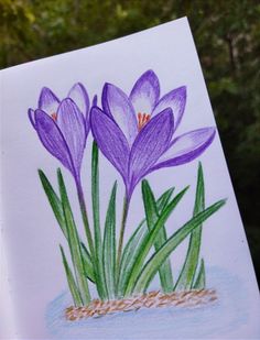 a drawing of some purple flowers in the water