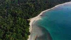 an aerial view of the beach and forest