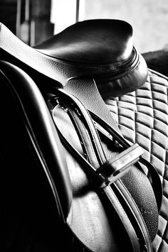 a black and white photo of a horse's saddle with the seat up on it