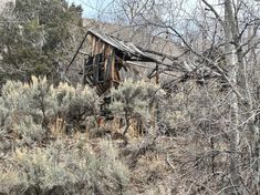 an old wooden structure sitting in the middle of some bushes and trees with no leaves on it