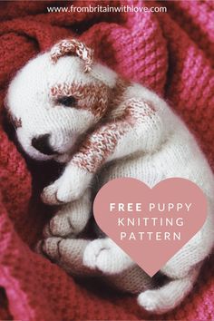 a knitted puppy laying on top of a blanket with the text free puppy knitting pattern