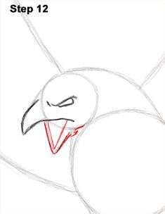 how to draw an angry bird step by step