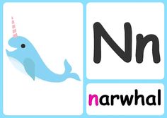 the letter n is for narwhale with an image of a narwhale