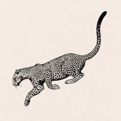 a black and white drawing of a cheetah running in the air with it's mouth open