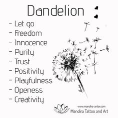 a dandelion with the words let go freedom