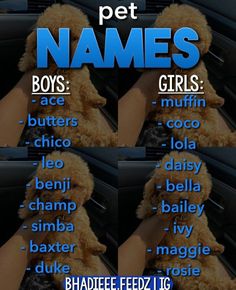 two pictures of a woman in a car with the names of her dogs on them