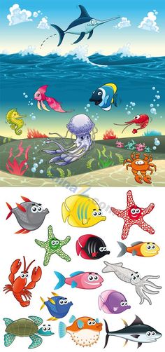 an ocean scene with many different types of fish