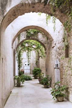 an alley way with potted plants on either side