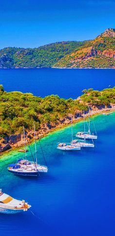 several boats floating in the blue water near an island