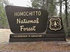 a sign for the national forest in front of some trees