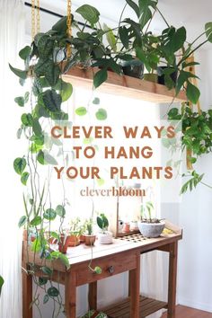 Clever Ways To Hang Your Plants - Clever Bloom | acrylic painting food
, kitchen artwork painting
, kitchen artwork painting
, acrylic painting kitchen art
, oil painting food
, kitchen paintings art wall decor
, kitchen paintings art wall decor bohemian
, fruit wall art
, fruit art print
, fruit painting prints
, abstract fruit painting
, fruit canvas painting Plant Stand For Hanging Plants, Plants In Home Decor Living Rooms, Floating Shelf Plant Decor, Plants In Closet, Unique Plant Shelves, Kitchen Plant Decor Ideas, Indoor Plant Stand Ideas Diy Wood, Hanging Corner Plants, Indoor Plant Stand Ideas Window