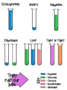 four test tubes filled with colored liquid and labeled in the words they make our lives