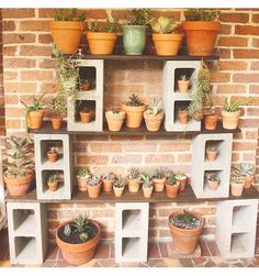 a brick wall with potted plants on it and an instagram post about how to grow succulents