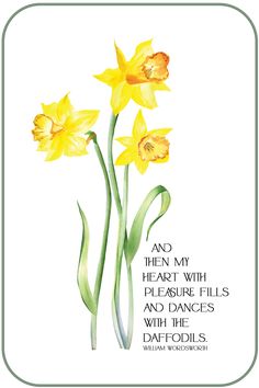 two yellow flowers with the words, and then my heart with pleasure fills who dances with daffodils