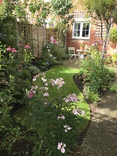 the garden is full of flowers and plants