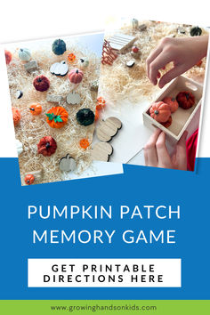 Two images of a Pumpkin Patch Memory Game setup. One image shows various mini faux pumpkins and wooden pumpkin cutouts scattered on natural wood excelsior, mimicking a pumpkin patch. The second image displays a child’s hand placing matched pumpkins into a small wooden box. The text overlay reads, 'Pumpkin Patch Memory Game' with a call-to-action button stating, 'Get Printable Directions Here,' and the website URL www.growinghandsonkids.com at the bottom. Fall Activity For Kids, Disabled Children, Fun Outdoor Activities, Simple Setup, Faux Pumpkins, Hay Bales