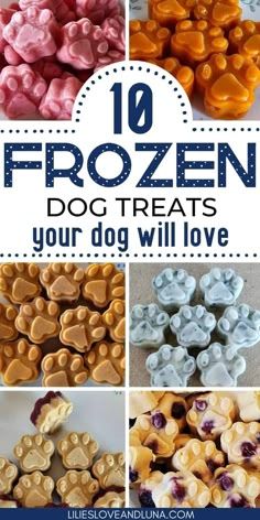 frozen dog treats with the title overlay saying,'10 frozen dog treats your dog will love '