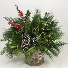 a plant with pine cones, holly and berries