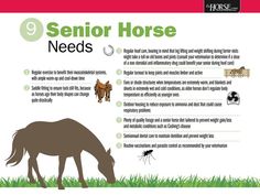 a horse grazing in the grass with information about it's health and its benefits