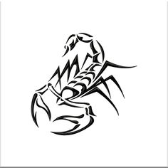 a black and white drawing of a scorpion