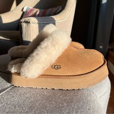 - Excellent Condition - Doesn’t Come With Shoe Box - One Minor Flaw, The Bottom Of The Shoe Is A Little Bit Scratched, But It Not Noticeable At All And Does Not Effect The Shoes Performance - First 2 Photos Were Taken During Golden Hour, And The Rest Were Taken In Normal Lighting Ugg Slipper, Xmas Wishlist, Shoe Ideas, Shoes Ugg, Ugg Slippers, Shoe Inspo, 2 Photos, Womens Uggs, Ugg Shoes