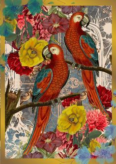 two parrots are sitting on a branch with flowers