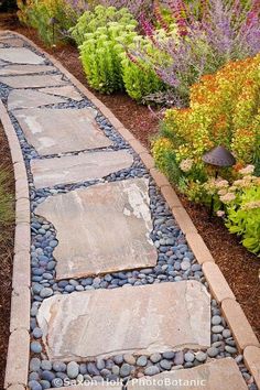 a stone path in the middle of a garden