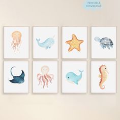 four paintings of sea animals are hanging on the wall